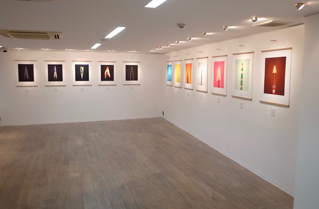 ポールスミス　鉛筆展　THE SECRET LIFE OF THE PENCIL