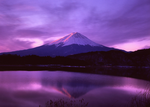 紫の夜明